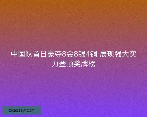 中国队首日豪夺8金8银4铜 展现强大实力登顶奖牌榜